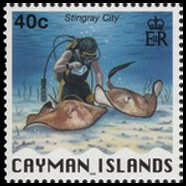 Isole Cayman 1996 - serie Simboli nazionali: 40 c