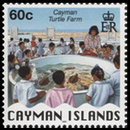 Isole Cayman 1996 - serie Simboli nazionali: 60 c