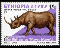 Etiopia 2005 - serie Rinoceronte nero: 10 c