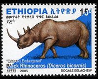 Etiopia 2005 - serie Rinoceronte nero: 15 c