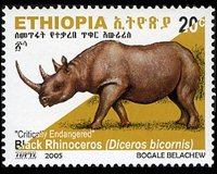 Ethiopia 2005 - set Black rhinoceros: 20 c