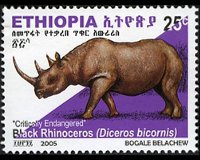 Etiopia 2005 - serie Rinoceronte nero: 25 c