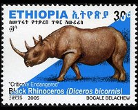 Ethiopia 2005 - set Black rhinoceros: 30 c