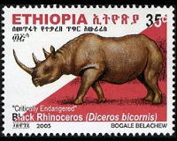 Ethiopia 2005 - set Black rhinoceros: 35 c