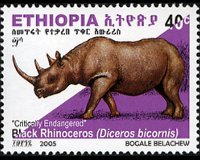 Etiopia 2005 - serie Rinoceronte nero: 40 c