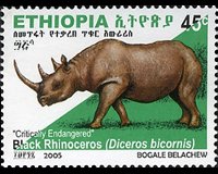 Ethiopia 2005 - set Black rhinoceros: 45 c