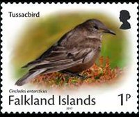 Falkland islands 2017 - set Small birds: 1 p