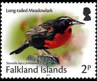 Falkland islands 2017 - set Small birds: 2 p