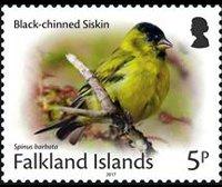 Falkland islands 2017 - set Small birds: 5 p