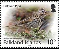 Falkland islands 2017 - set Small birds: 10 p