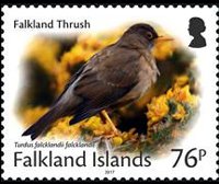 Falkland islands 2017 - set Small birds: 76 p