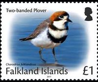 Falkland islands 2017 - set Small birds: 1 £