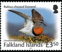 Falkland islands 2017 - set Small birds: 3,50 £