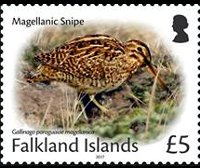 Falkland islands 2017 - set Small birds: 5 £