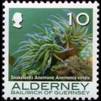 Alderney 2006 - set Corals and anemones: 10 p