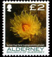 Alderney 2006 - serie Coralli e anemoni: 2 £