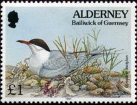 Alderney 1994 - serie Flora e fauna: 1 £