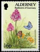 Alderney 1994 - serie Flora e fauna: 16 p