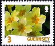 Guernsey 2008 - set Flowers: 3 p