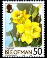 Man 1998 - set Flowers: 50 p