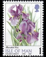 Man 1998 - set Flowers: 1 p