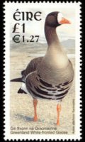 Ireland 2001 - set Birds: 1 £ / 1,27 €