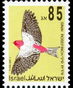 Israele 1992 - serie Uccelli canterini: 85 a