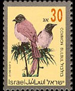 Israel 1992 - set Songbirds: 30 a