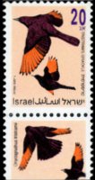 Israele 1992 - serie Uccelli canterini: 20 a