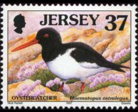 Jersey 1997 - set Seabirds & waders: 37 p