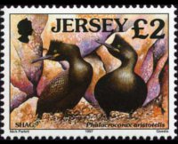 Jersey 1997 - set Seabirds & waders: 2 £