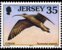 Jersey 1997 - set Seabirds & waders: 35 p