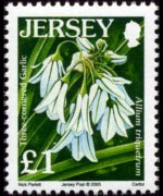Jersey 2005 - set Flowers: 1 £