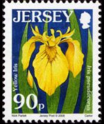 Jersey 2005 - set Flowers: 90 p