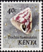 Kenya 1971 - serie Conchiglie: 40 c