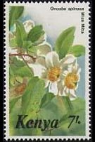 Kenya 1983 - set Flowers: 7 sh