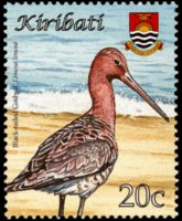 Kiribati 2008 - set Birds: 20 c