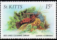 Saint Kitts 1984 - set Sealife: 15 c