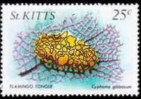 Saint Kitts 1984 - set Sealife: 25 c