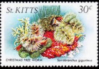 Saint Kitts 1984 - set Sealife: 30 c