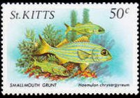 Saint Kitts 1984 - set Sealife: 50 c