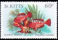 Saint Kitts 1984 - set Sealife: 60 c