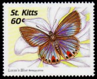 Saint Kitts 1997 - set Butterflies: 60 c