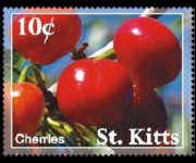 Saint Kitts 2007 - set Fruits: 10 c