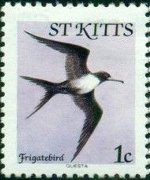 Saint Kitts 1981 - serie Uccelli: 1 c