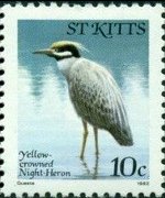 Saint Kitts 1981 - serie Uccelli: 10 c