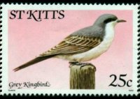 Saint Kitts 1981 - set Birds: 25 c