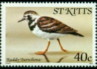 Saint Kitts 1981 - set Birds: 40 c