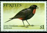 Saint Kitts 1981 - serie Uccelli: 1 $