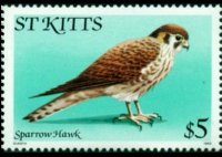 Saint Kitts 1981 - serie Uccelli: 5 $